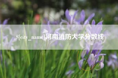 邓州河南消防大学分数线