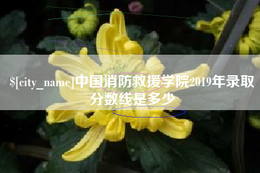邓州中国消防救援学院2019年录取分数线是多少