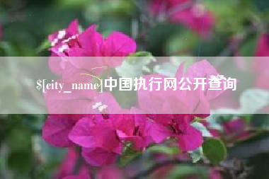 邓州中国执行网公开查询