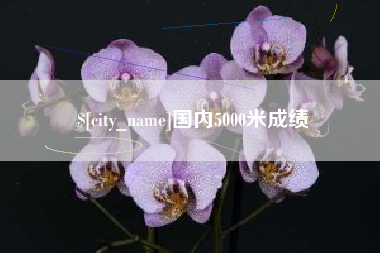邓州国内5000米成绩