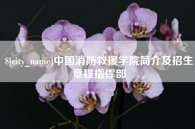 邓州中国消防救援学院简介及招生章程指挥部