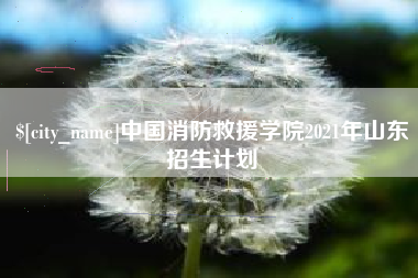 邓州中国消防救援学院2021年山东招生计划