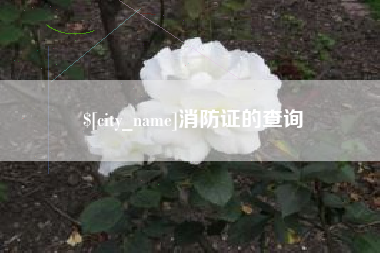 邓州消防证的查询