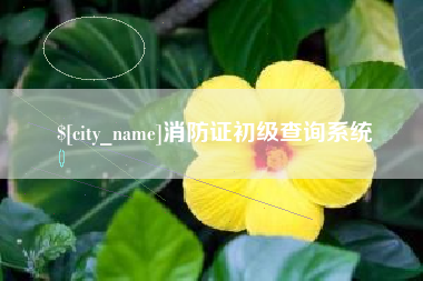 邓州消防证初级查询系统