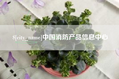 邓州中国消防产品信息中心