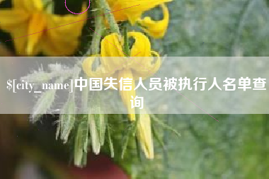 邓州中国失信人员被执行人名单查询
