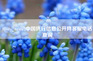 邓州中国执行信息公开网客服电话查询