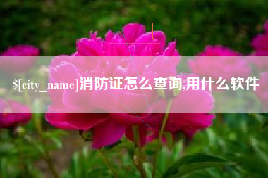 邓州消防证怎么查询,用什么软件