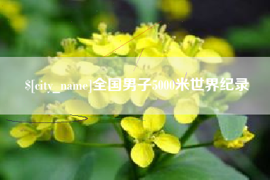 邓州全国男子5000米世界纪录