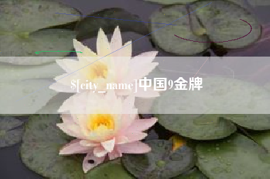 邓州中国9金牌