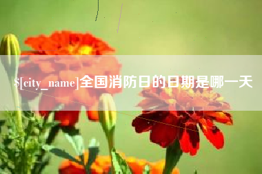 邓州全国消防日的日期是哪一天