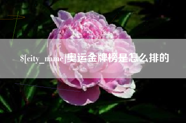 邓州奥运金牌榜是怎么排的
