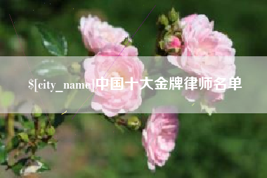 邓州中国十大金牌律师名单