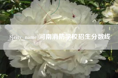 邓州河南消防学校招生分数线
