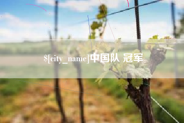邓州中国队 冠军