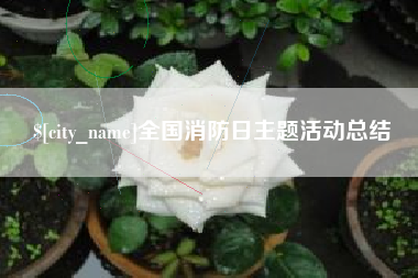 邓州全国消防日主题活动总结