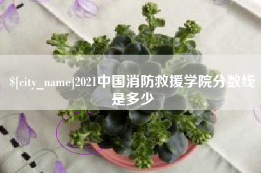 邓州2021中国消防救援学院分数线是多少