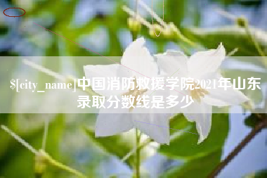 邓州中国消防救援学院2021年山东录取分数线是多少