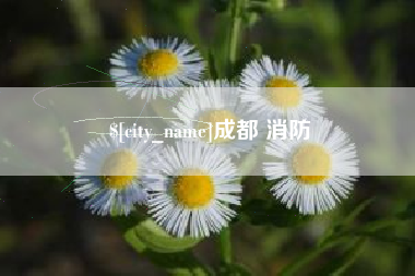 邓州成都 消防