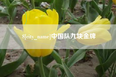 邓州中国队九块金牌