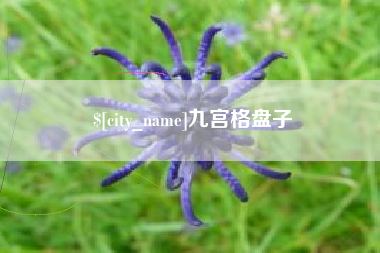 邓州九宫格盘子