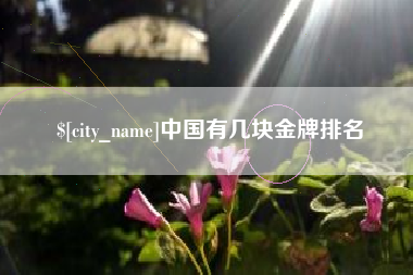 邓州中国有几块金牌排名