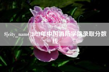 邓州2021年中国消防学院录取分数线