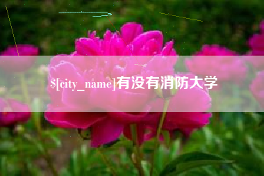 邓州有没有消防大学