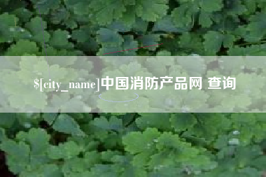 邓州中国消防产品网 查询