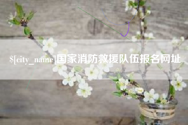 邓州国家消防救援队伍报名网址