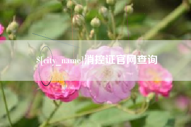 邓州消控证官网查询