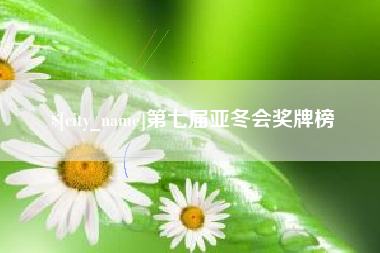 邓州第七届亚冬会奖牌榜