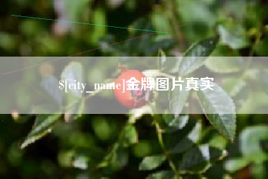 邓州金牌图片真实