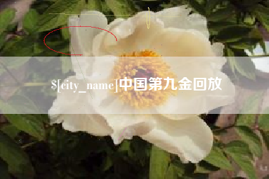 邓州中国第九金回放