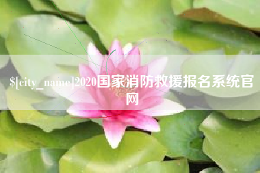 邓州2020国家消防救援报名系统官网