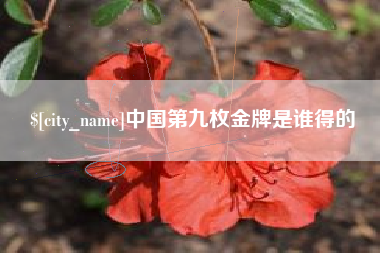 邓州中国第九枚金牌是谁得的