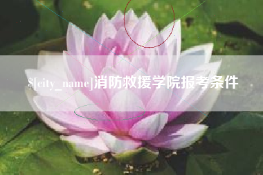 邓州消防救援学院报考条件