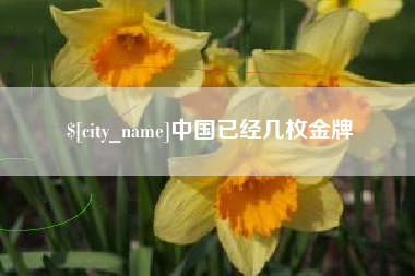 邓州中国已经几枚金牌