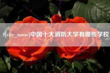 邓州中国十大消防大学有哪些学校