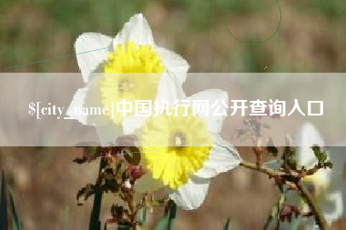 邓州中国执行网公开查询入口