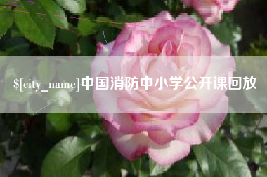 邓州中国消防中小学公开课回放