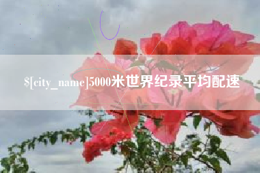 邓州5000米世界纪录平均配速
