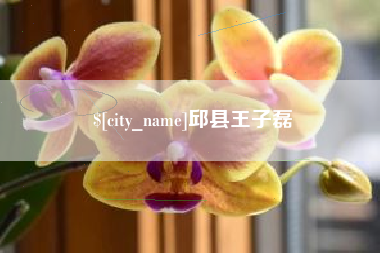 邓州邱县王子磊
