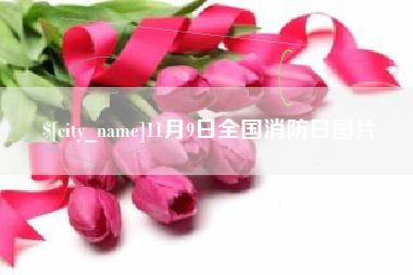 邓州11月9日全国消防日图片