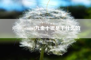 邓州九金十银是干什么的