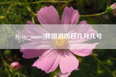 邓州我国消防日几月几号