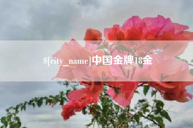 邓州中国金牌18金