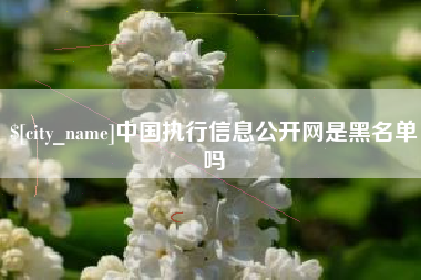 邓州中国执行信息公开网是黑名单吗
