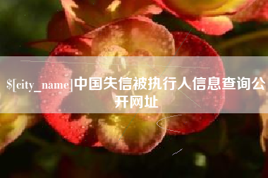 邓州中国失信被执行人信息查询公开网址