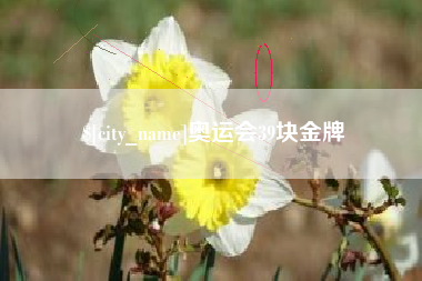 邓州奥运会39块金牌